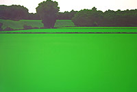 "Senza titolo", 2007, olio su tela, cm 100 x 150